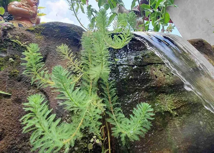Ferienhaus Gana Bali Ubud